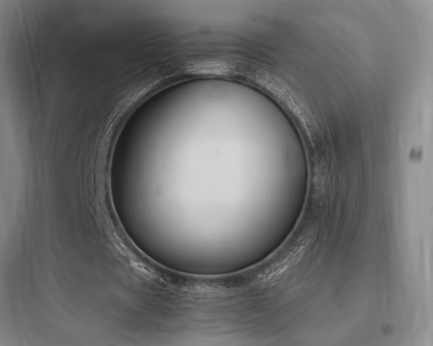 X0000097980529200803241301