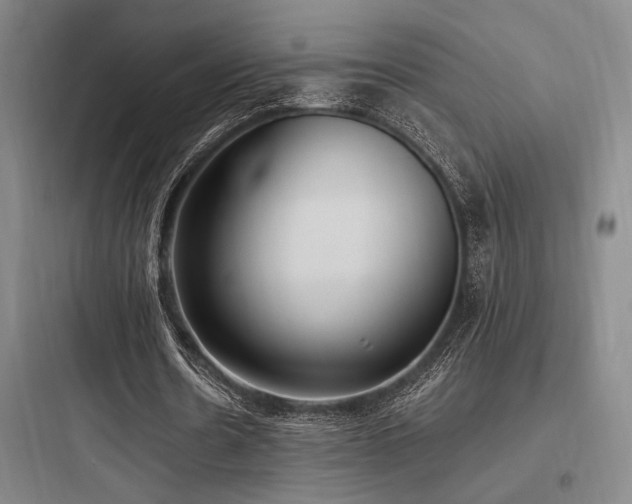 X0000097980530200803241301