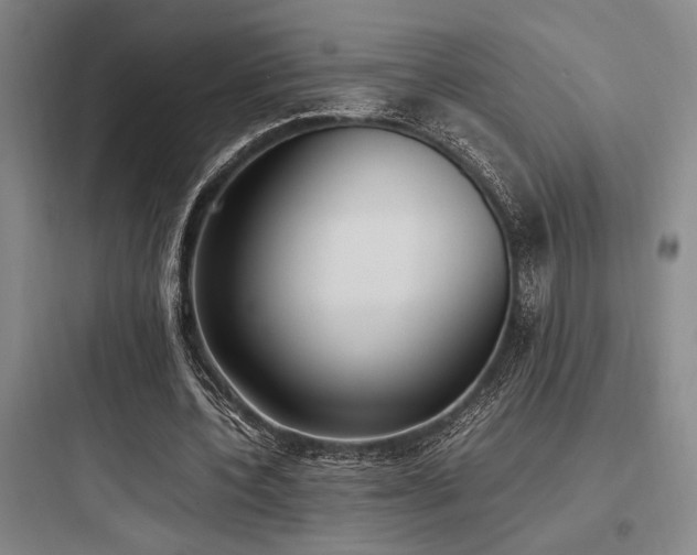 X0000097980532200803241301