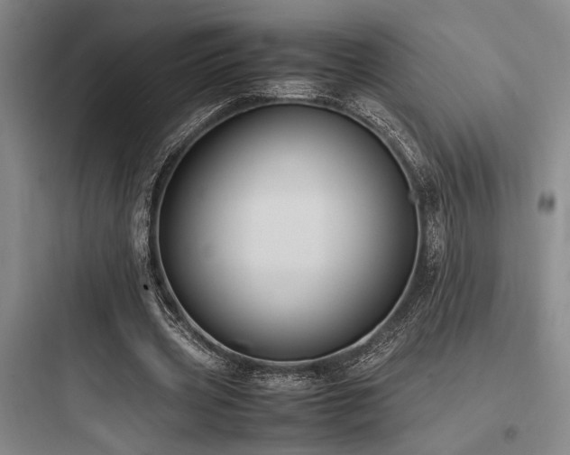 X0000097980533200803241301
