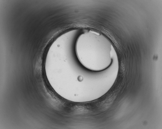 X0000097980534200803241301