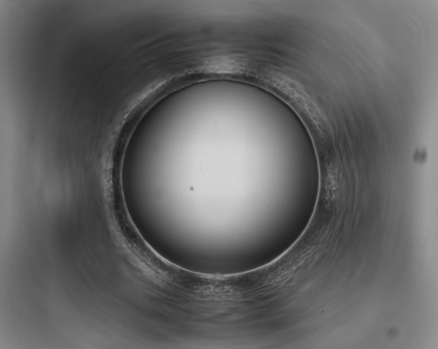 X0000097980535200803241302