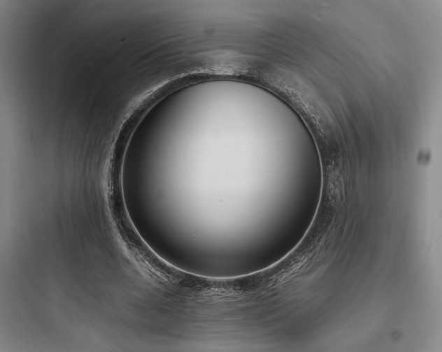 X0000097980536200803241302