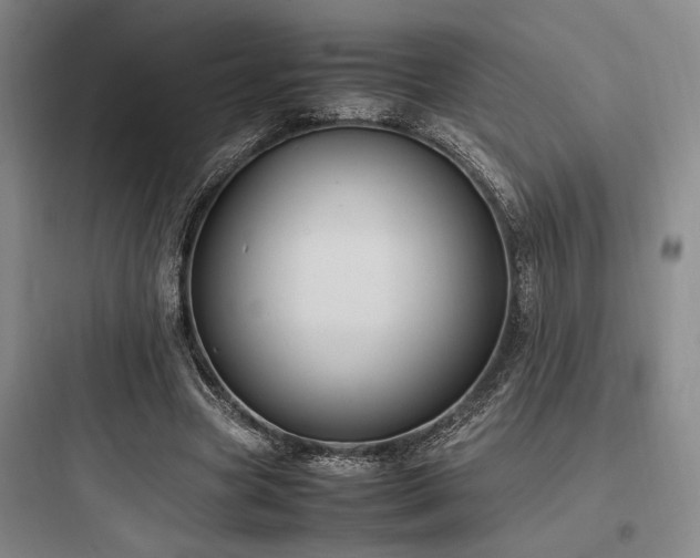 X0000097980537200803241302