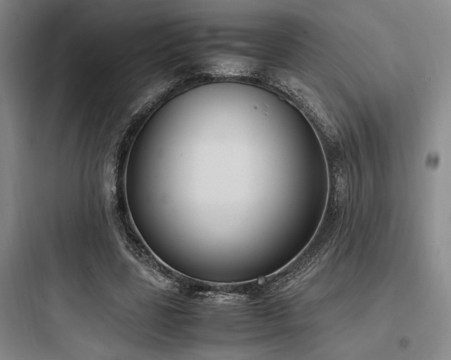 X0000097980539200803241302