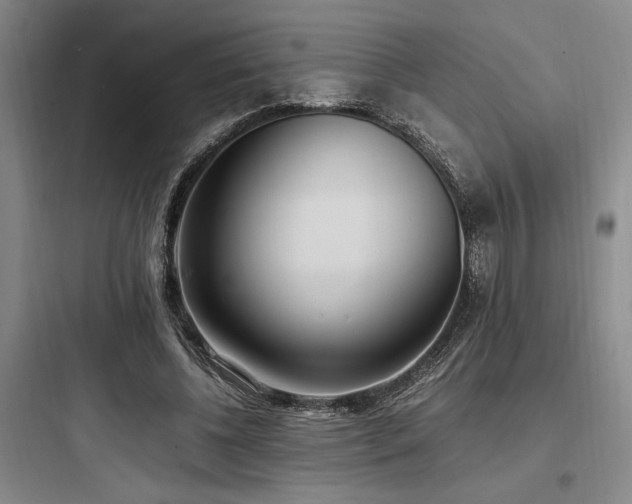X0000097980540200803241302