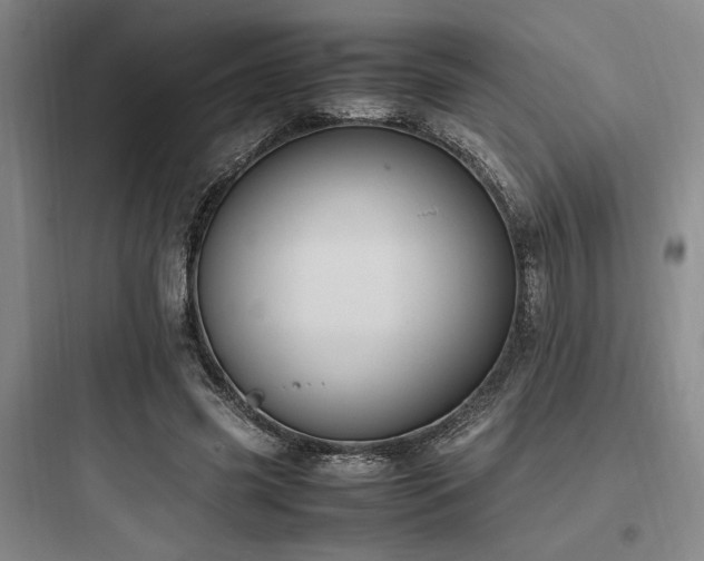 X0000097980541200803241302