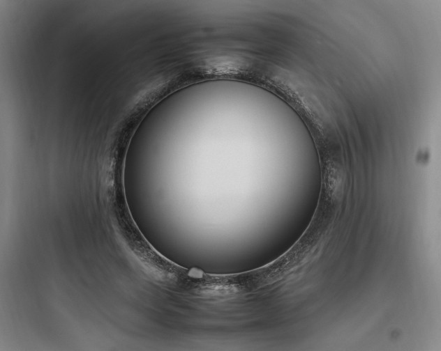 X0000097980543200803241302