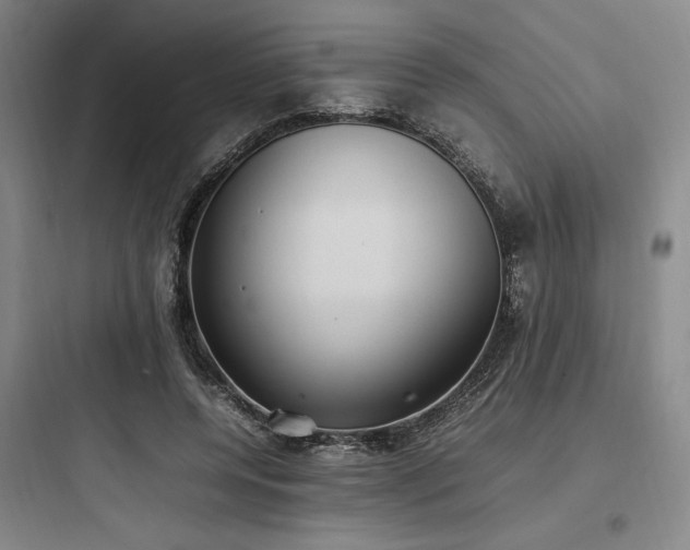 X0000097980544200803241302