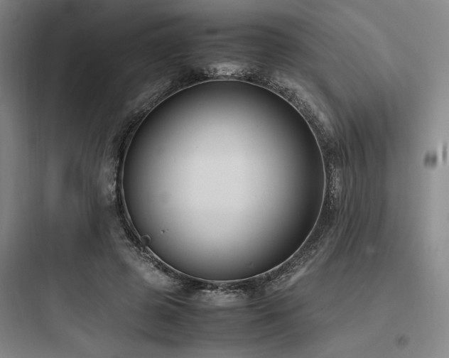 X0000097980545200803241302