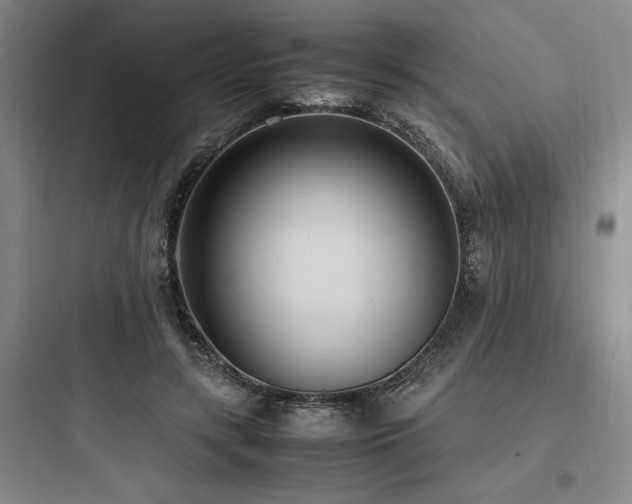 X0000097980547200803241302