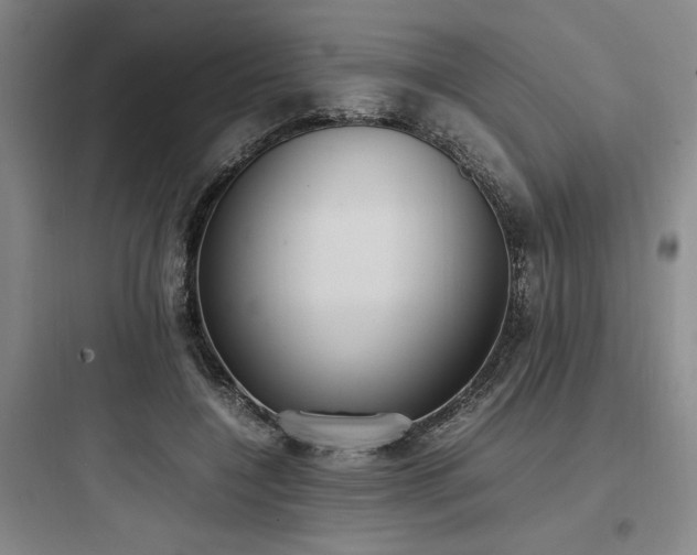 X0000097980548200803241302