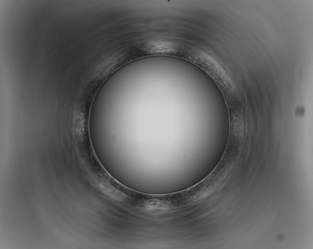 X0000097980549200803241302