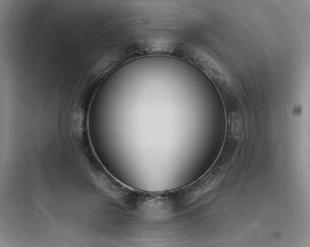 X0000097980550200803241302