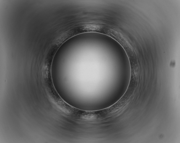 X0000097980551200803241302