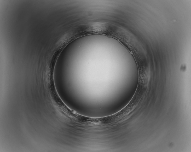 X0000097980552200803241302