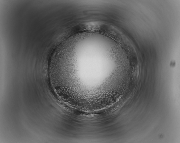 X0000097980553200803241302