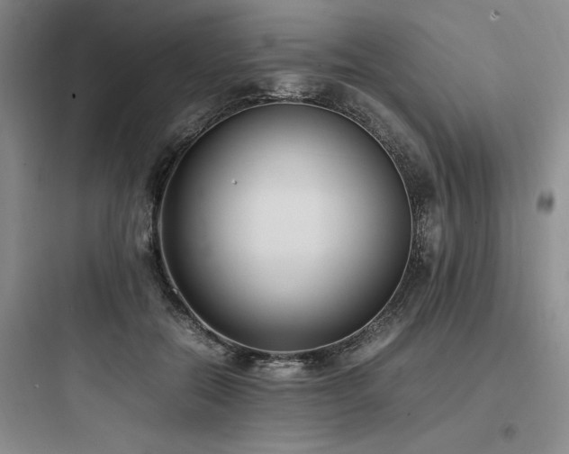 X0000097980554200803241302