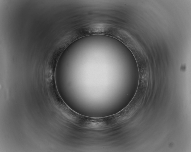 X0000097980555200803241302
