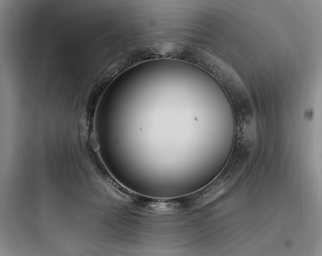 X0000097980558200803241302