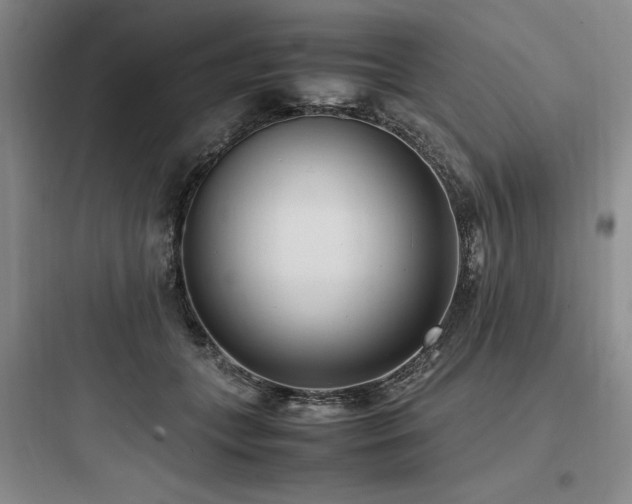 X0000097980559200803241302