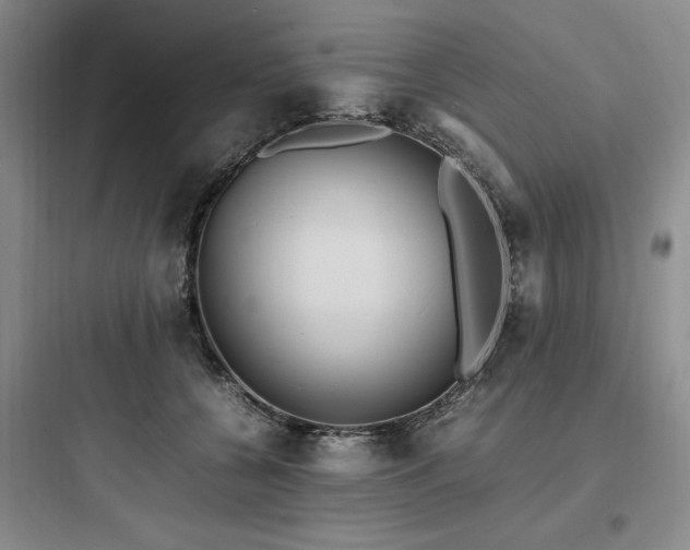 X0000097980560200803241302