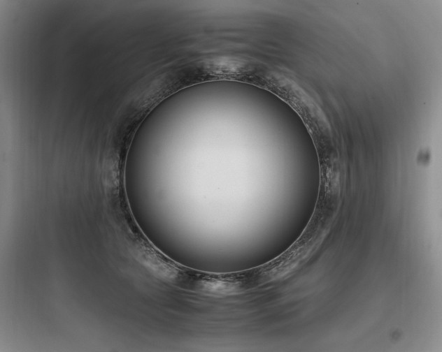 X0000097980561200803241302