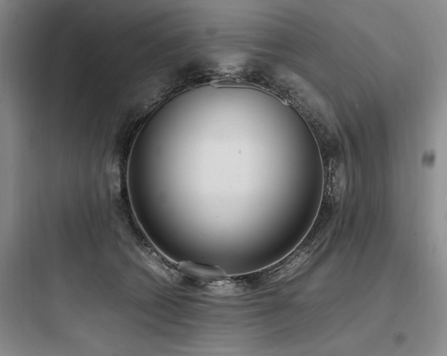 X0000097980562200803241302