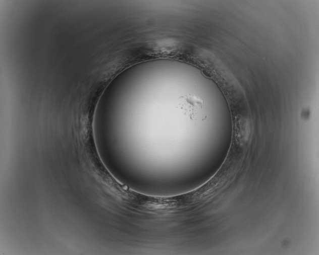 X0000097980563200803241302