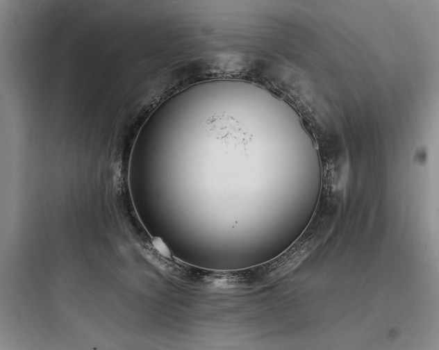 X0000097980564200803241302