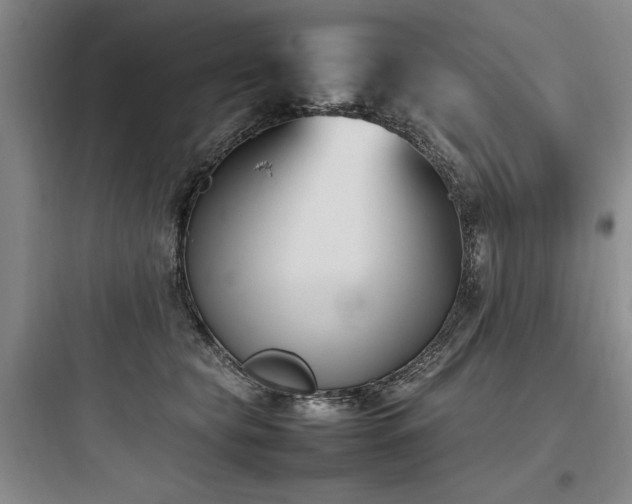 X0000097980565200803241302
