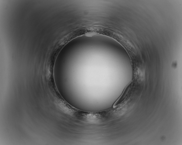 X0000097980566200803241302