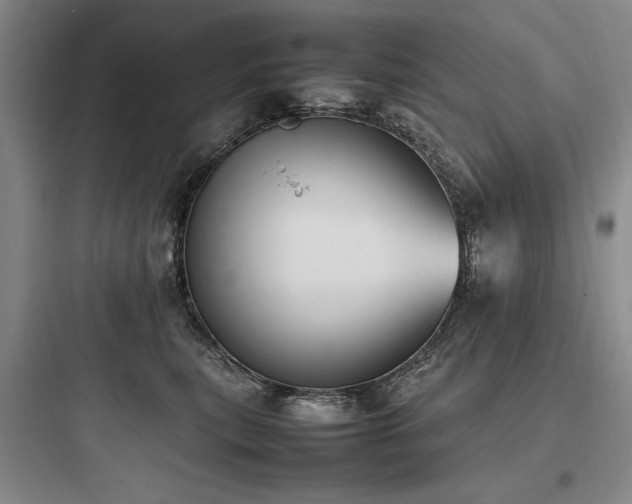 X0000097980567200803241302
