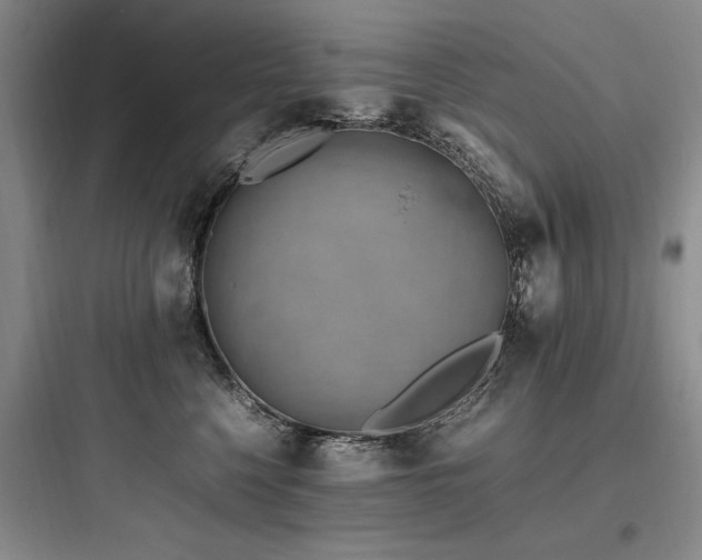 X0000097980568200803241302