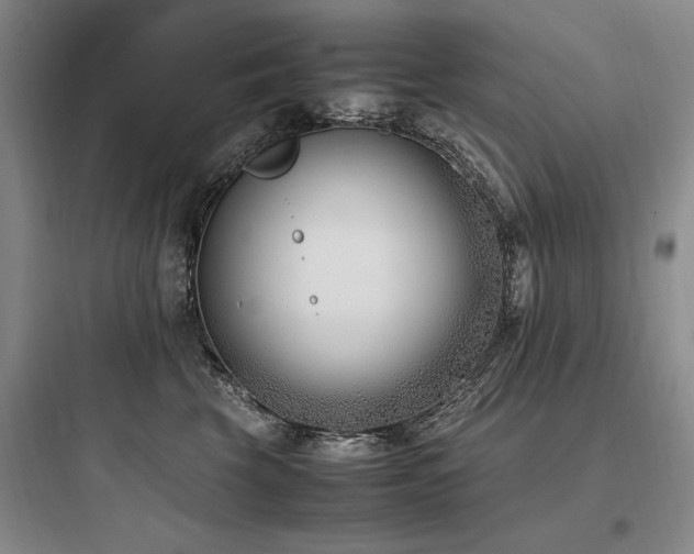 X0000097980569200803241302