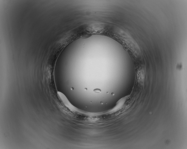 X0000097980570200803241302