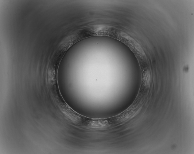 X0000097980571200803241302