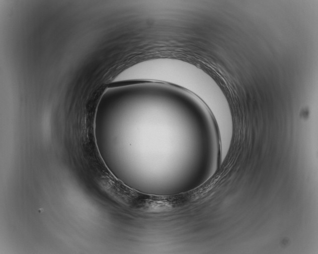 X0000097980572200803241302