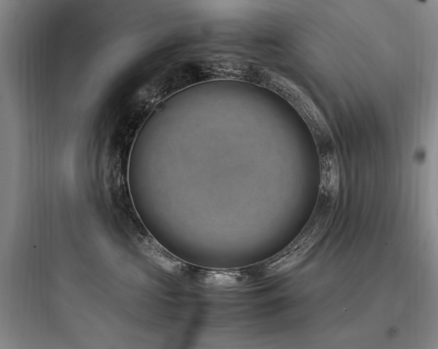 X0000097980573200803241302