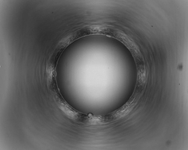 X0000097980574200803241302