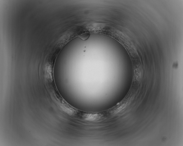 X0000097980575200803241302