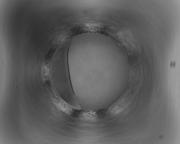 X0000097980576200803241302