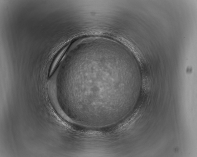 X0000097980577200803241301