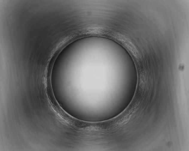 X0000097980578200803241301