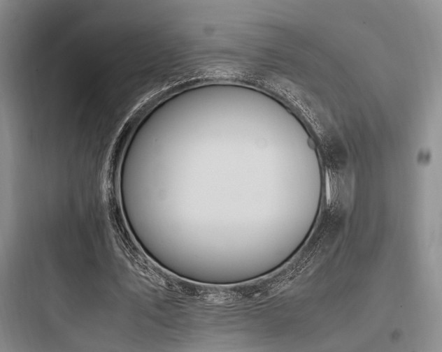 X0000097980579200803241301