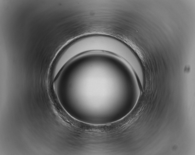 X0000097980580200803241301