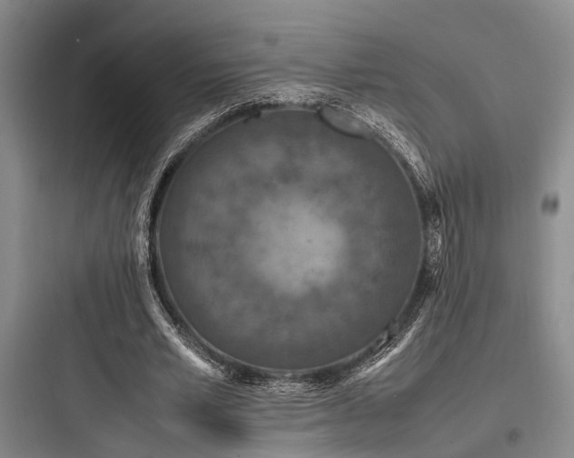 X0000097980581200803241301