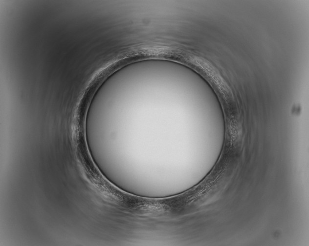 X0000097980583200803241301