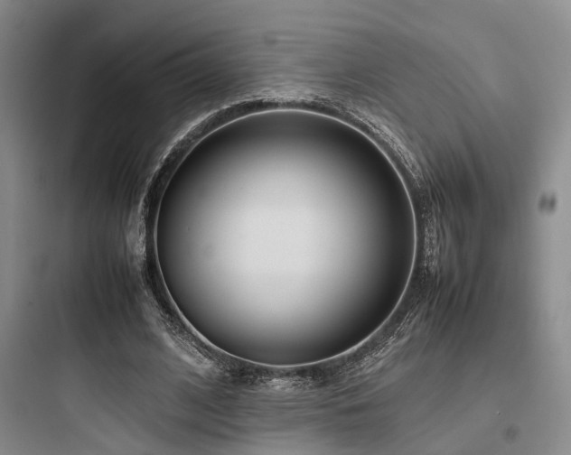 X0000097980584200803241301