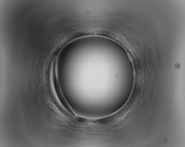 X0000097980585200803241301